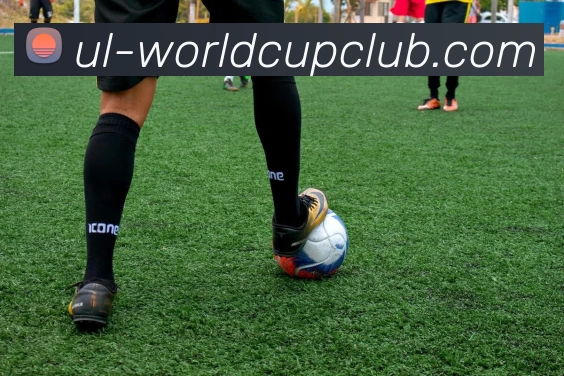 亚洲体育博彩平台平台生态图