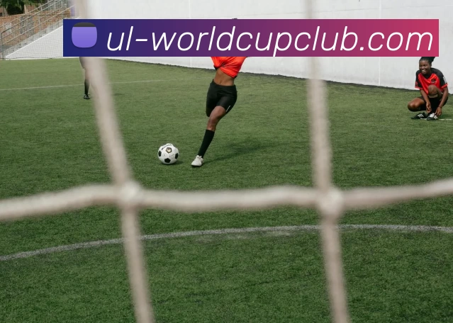 数据防护可视化